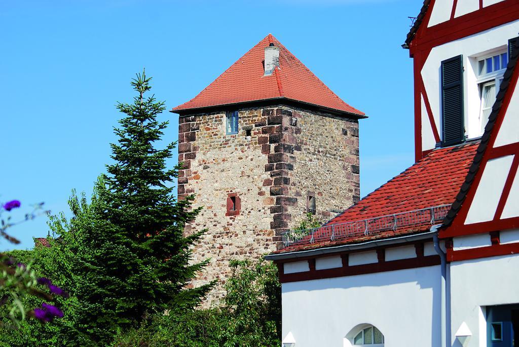 Landhotel Altes Wasserwerk Gbr フラインスハイム エクステリア 写真